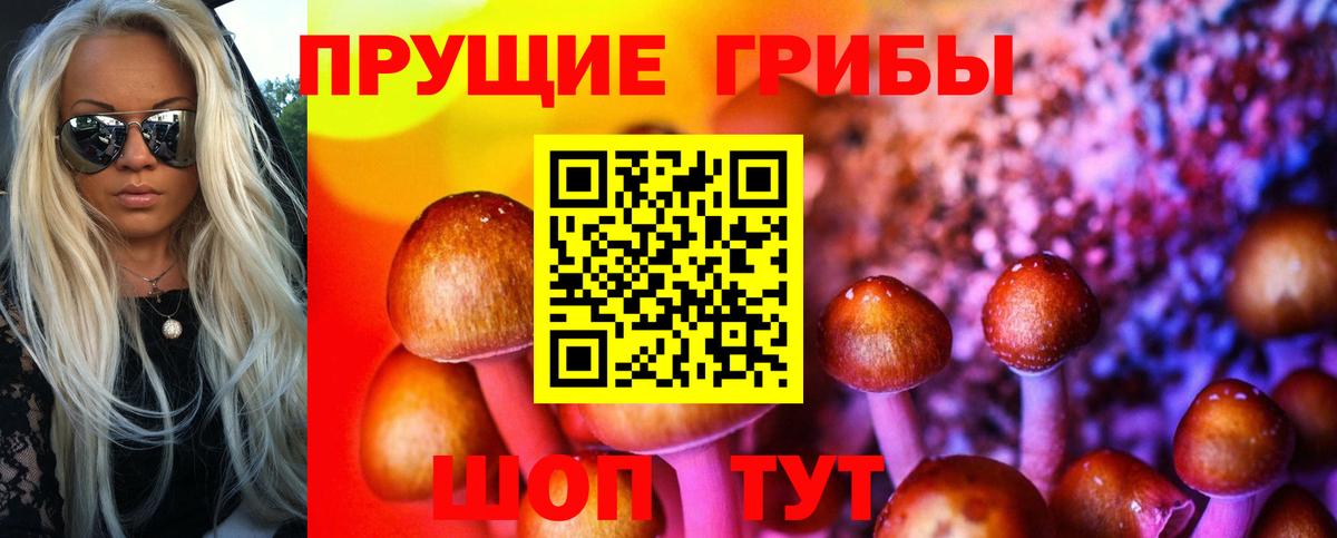 Галлюциногенные грибы Psilocybine cubensis Ликино-Дулёво