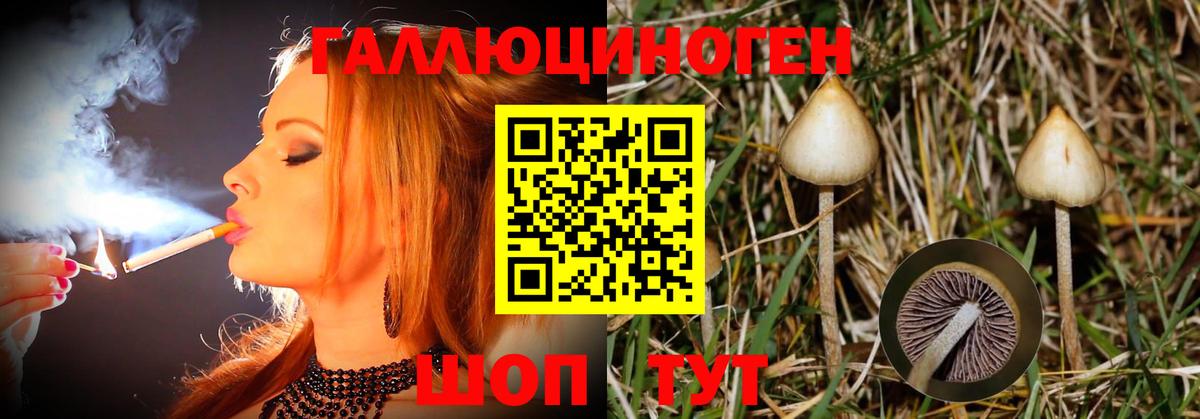 Псилоцибиновые грибы мицелий  Вход с VPN  Псилоцибиновые грибы ЛСД  Ликино-Дулёво 